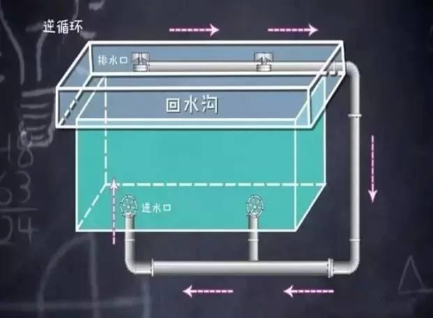 多人合力均未能将孩子救出！排水口的吸力到底有多大？