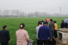 抓春管，提单产，河南科技特派员护航夏粮丰收图片