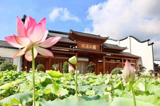 “湘超”超好看 益阳更好玩|一张球票畅享全城文旅福利