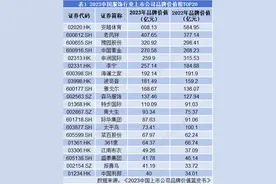 服饰行业：安踏体育蝉联榜首，上榜企业几乎都在沿海地区丨品牌读榜·行业篇⑪图片