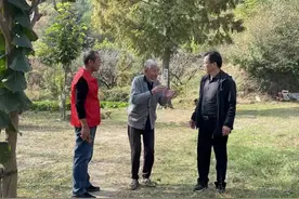 蜗居深山三十二载，无偿植树造林10万余棵图片