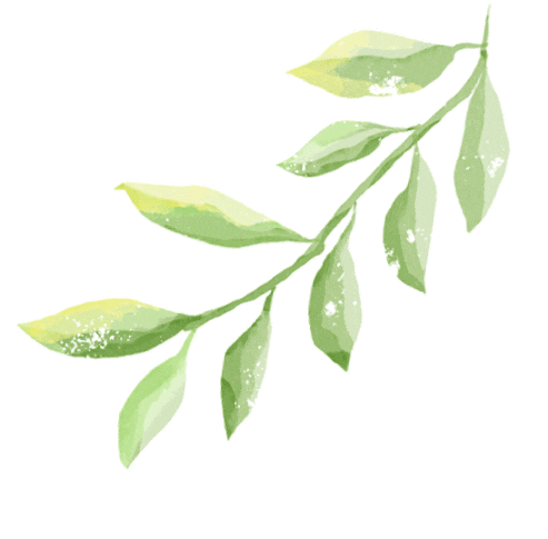 三亚，“老”出片了