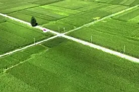 千城胜景｜内蒙古土默特左旗：高标准农田建设让粮田变“良田”图片