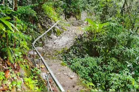 鹤峰：首个单轨运输车正式投入使用图片