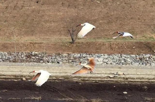 白居易偏爱的西安宝藏县城