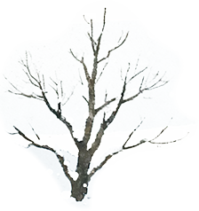 “泡汤局”是时候约起来了