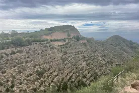【甘快看·我们的家园 幸福美好新甘肃】黄土山上的绿色奇迹图片