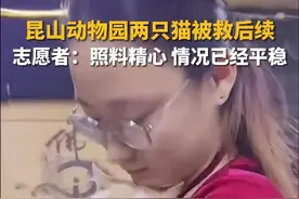 昆山动物园两只猫被救后续 志愿者：照料精心 情况已经平稳图片