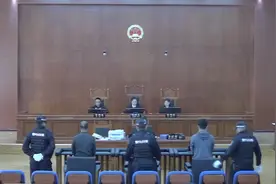 案值100余万元！日喀则审理一起走私珍贵动物制品刑事案图片