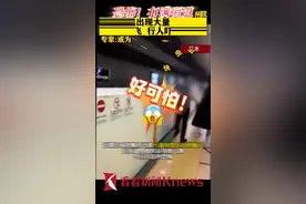 恐怖！日本札幌出现大量巨型蛾子 行人吓得尖叫图片