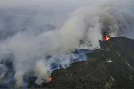 日本多地山火肆虐 冈山灾情破纪录 超2000人被疏散图片