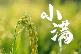 今日小满，一切都刚刚好！图片