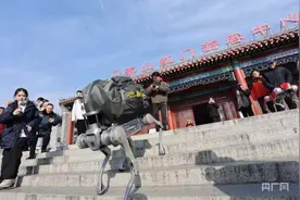 山东泰安：做好“泰山+”文章，塑造文旅新业态新模式新场景图片