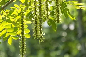 临沂高温预警！局部37℃以上图片
