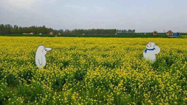 济南2026花期预报来了，带你精准打卡春日花海