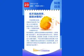 钦州科普日历丨吃不完的月饼，能放冰箱吗？图片