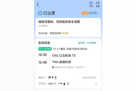 市民反映智行App购买机票无法获取行程单，记者调查：第三方平台部分机票仅支持“电子发票”图片