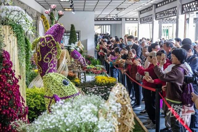 从8点堵到现在！杭州顶流回归