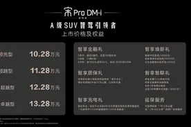 9.98万起，比亚迪元UP&宋Pro DM-i智驾版上市！图片