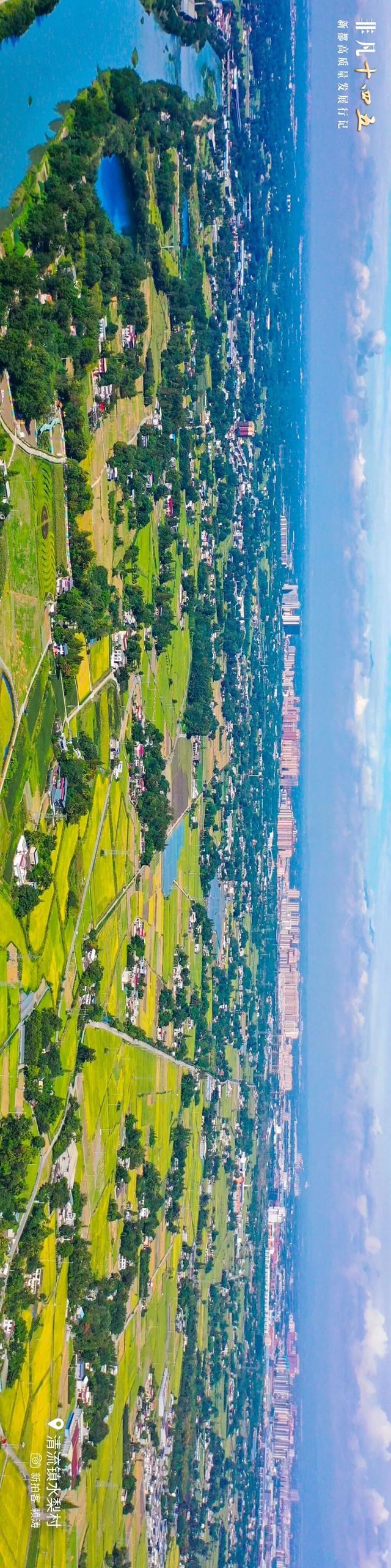 飞“阅”新都 | 一座生长在公园里的城市