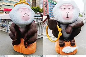 顶流“小老费”下山营业！带火贵阳历史城垣步道……网友炸锅了图片