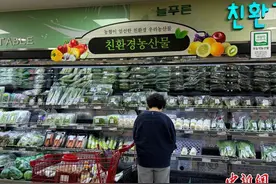 白菜变“金菜”  韩国紧急从中国进口求解困图片