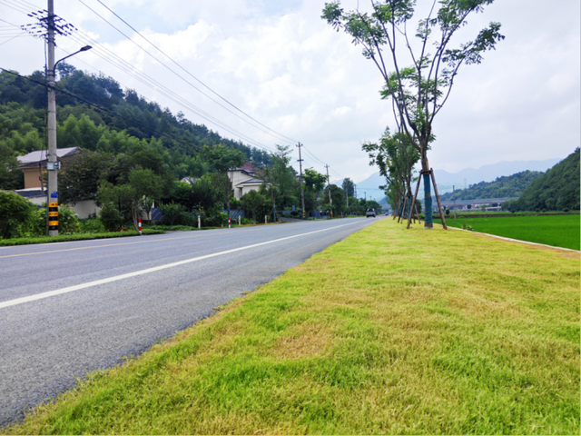 驾游浙江 | 自驾新宠！探秘天目山，这条环山公路美成仙境
