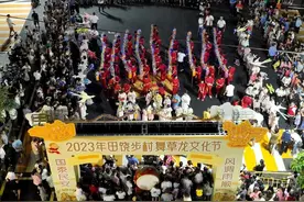 东莞横沥田饶步村中秋舞草龙图片