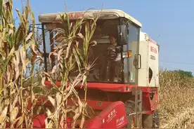 “00后”农机手杜梦园：​礼赞丰收、振兴乡村图片