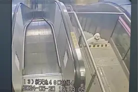 小狗迷路，误入地铁站，TA们忙活开了……图片