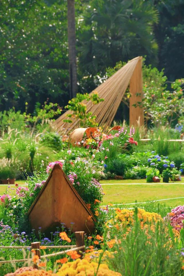 行摄 | 美爆了！秋日花海，限时上映