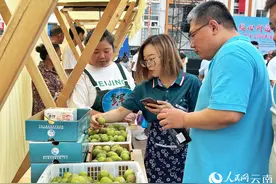 半边红李“红满天” 云南绥江李子飘香采销忙图片