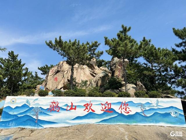 品“柿”间美味，赏秋日风光！青岛这些主题公交贴心伴游