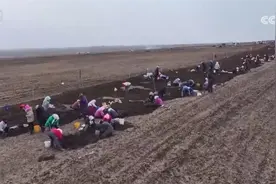 温室大棚“蔬”写乡村新途景 特色产业让希望的田野有“新”更有“兴”图片