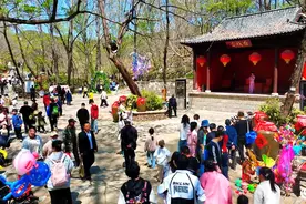 “镇”兴兰陵②：农文旅融合型乡镇的破圈实践图片