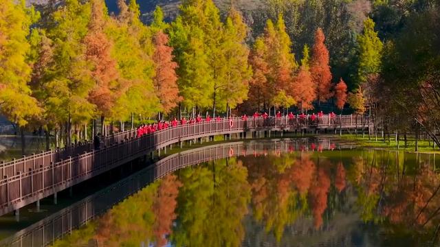 生态绘新卷 各地绘就绿色发展好风光