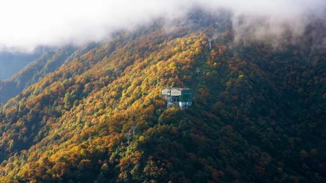 来瓦屋山沉浸式徒步！与漫山秋色撞个满怀！