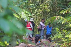 2024云南经典徒步线路发布 西双版纳基诺山热带雨林徒步线路入选图片