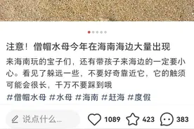剧毒水母海南出没 专家提醒：看到“僧帽”时，有毒触手或已在身边图片