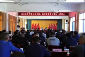 西峡：“四季出菇”模式助力食用菌产业高质量发展图片