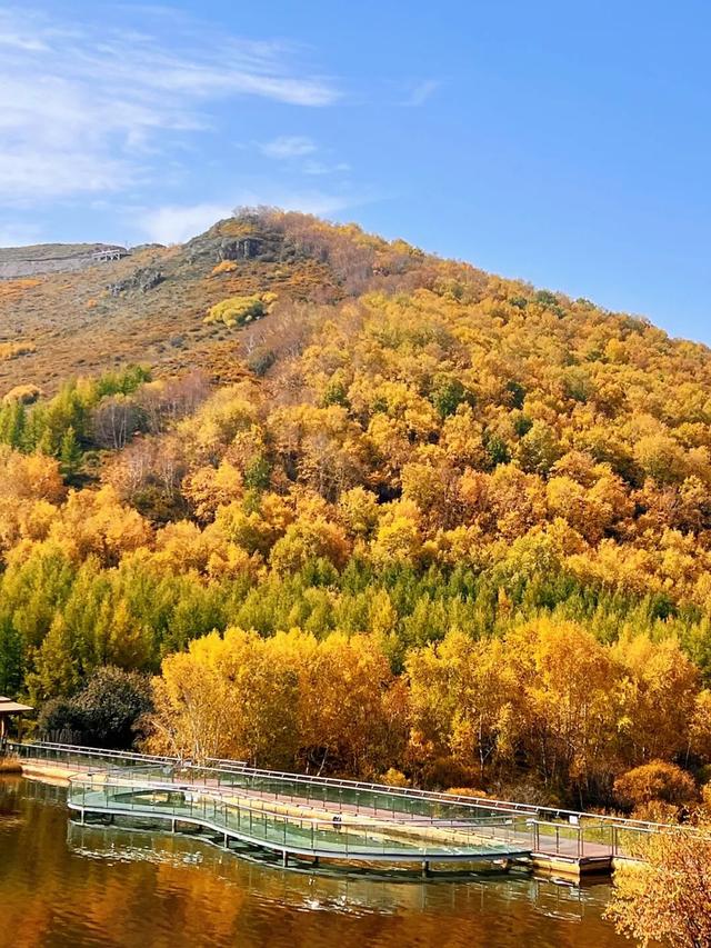 层林尽染，赴一场七彩森林的秋日之约