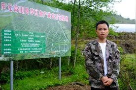 “码农”返乡当菜农  农业现代化改造打通山区致富路图片