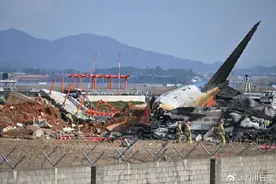 波音737800机型24小时内两起事故图片