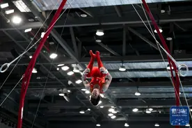 体操全国锦标赛｜张博恒获得男子个人全能冠军图片