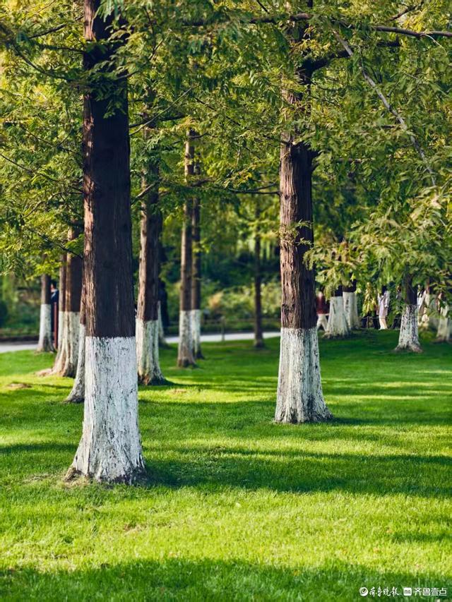 金秋时节的五龙潭