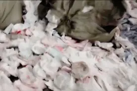 护舒宝、七度空间发布声明：均严格粉碎销毁残次品图片