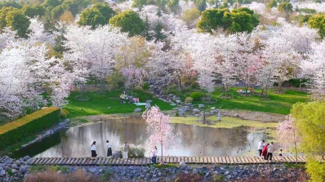 春假“王炸”攻略！绝美线路+地道风味，荆州区等着你