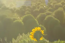 今天生日的有福啦！免费游玩~图片