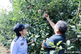 秋收农忙讲安全，田间地头话平安图片