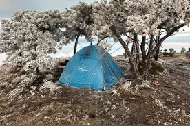 福建低温预警！最低-8℃！这些地区或有霜冻图片